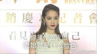 蔡依林和谁表情包,笑翻网友的跨界合作